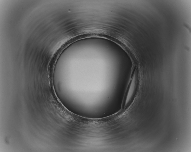 X0000099961022200806061601