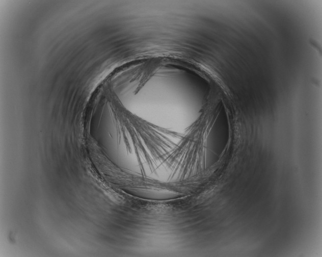 X0000099961023200806061601