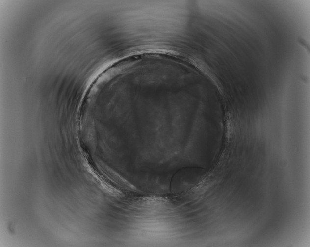 X0000099961024200806061601
