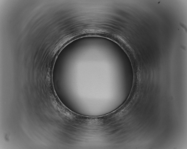 X0000099961025200806061601