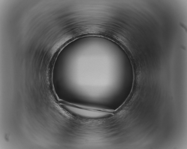 X0000099961026200806061601