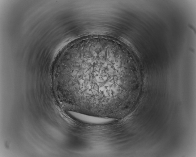 X0000099961027200806061601