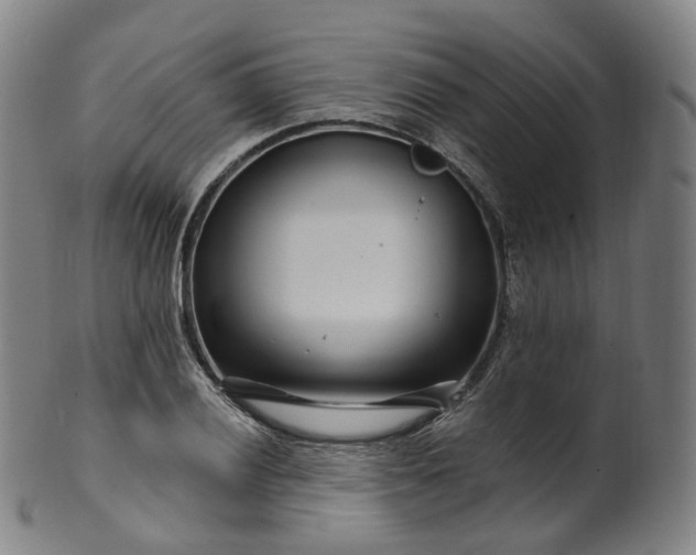 X0000099961028200806061601