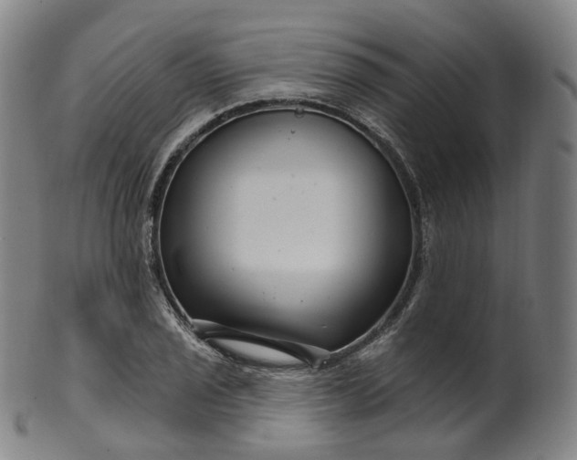 X0000099961029200806061601