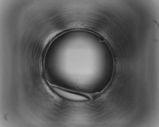 X0000099961030200806061601