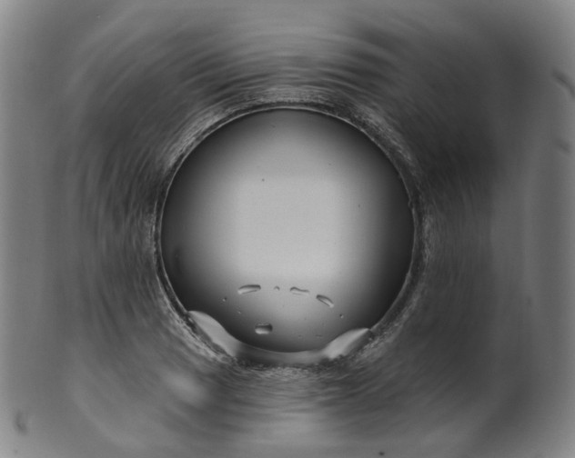 X0000099961033200806061601