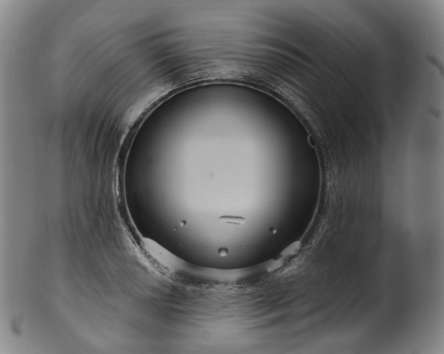 X0000099961034200806061601