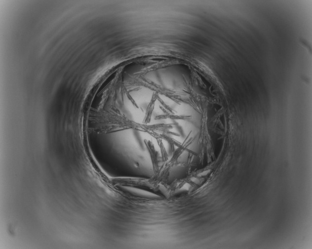 X0000099961035200806061601