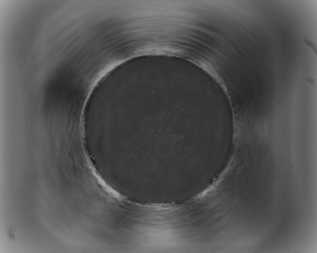 X0000099961037200806061601