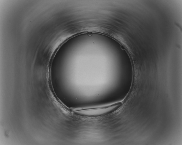 X0000099961040200806061601