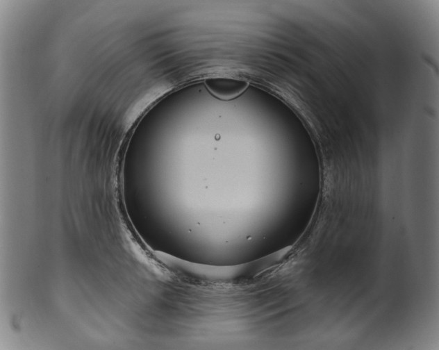 X0000099961042200806061601