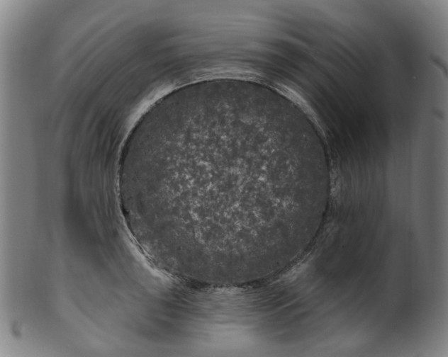X0000099961043200806061601