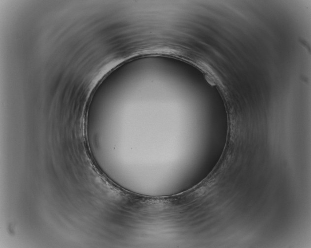 X0000099961044200806061601