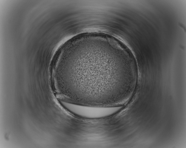 X0000099961045200806061601