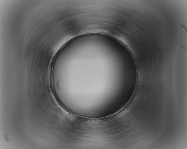 X0000099961046200806061601