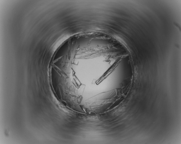 X0000099961047200806061601