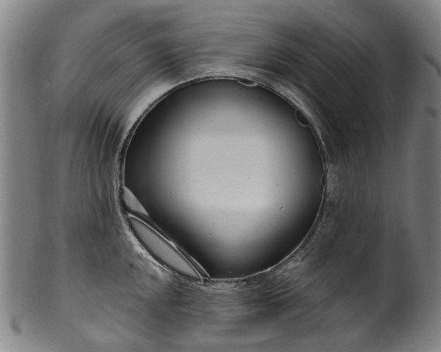 X0000099961048200806061601