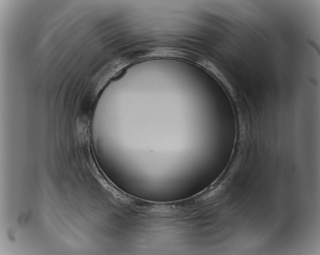 X0000099961049200806061601