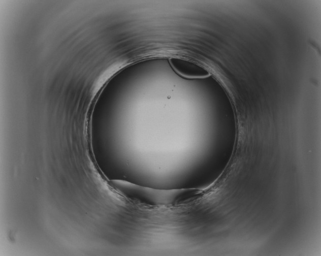 X0000099961050200806061601