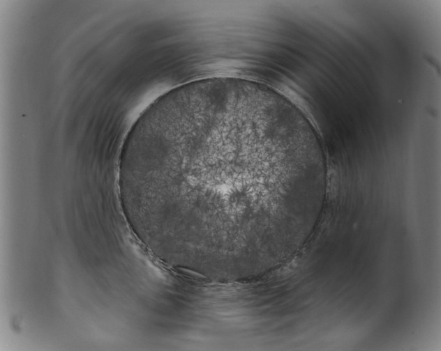 X0000099961051200806061601