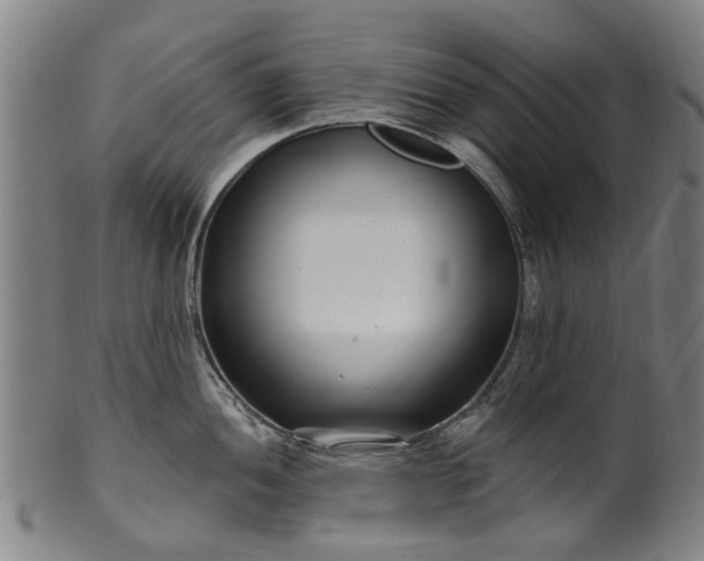 X0000099961052200806061601