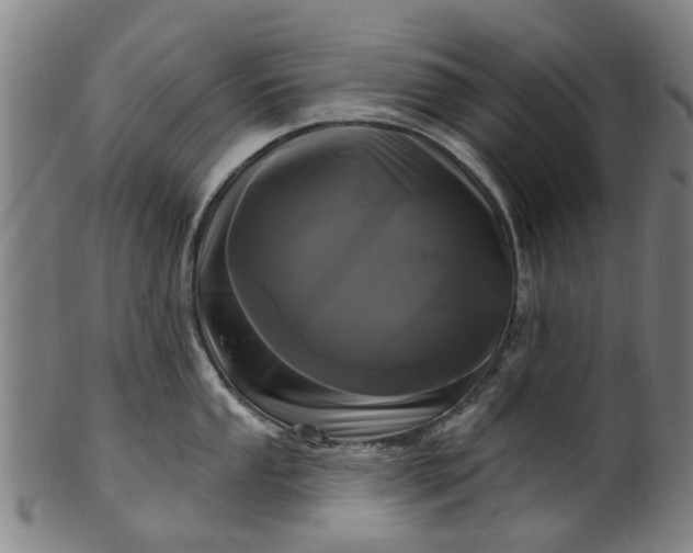 X0000099961053200806061601