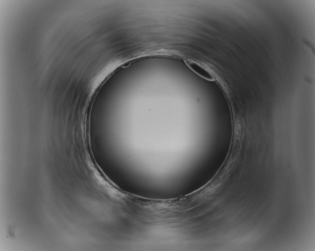X0000099961054200806061601