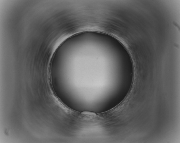 X0000099961056200806061601