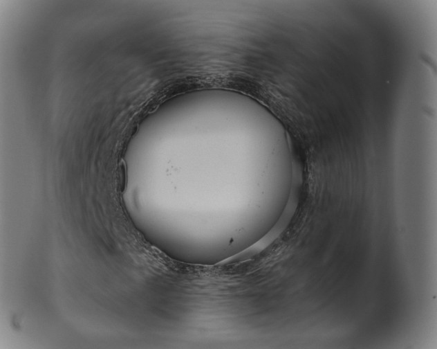 X0000099961057200806061600