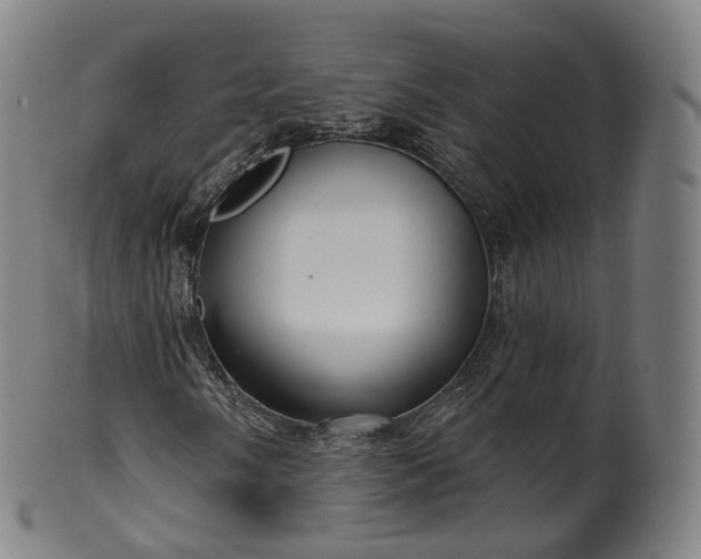 X0000099961058200806061600