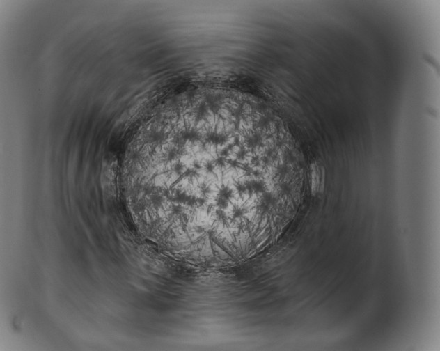 X0000099961059200806061600