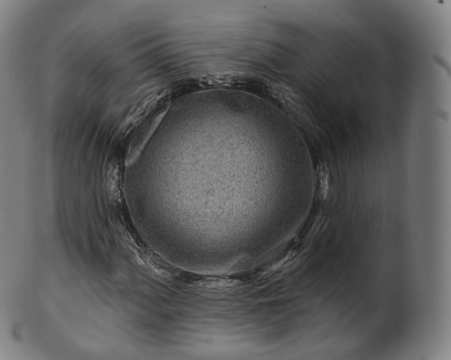 X0000099961060200806061600