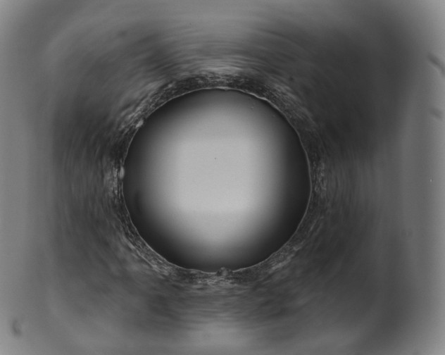 X0000099961061200806061600