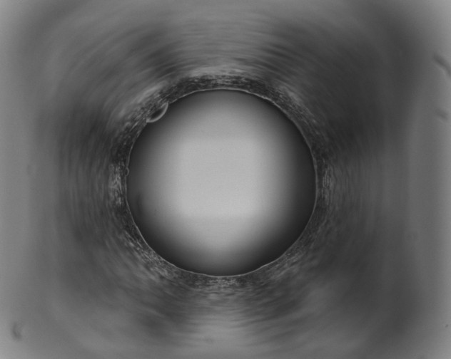 X0000099961062200806061600
