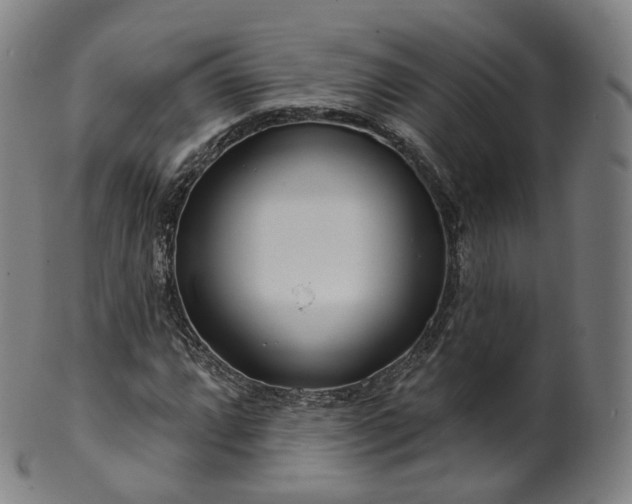 X0000099961064200806061600