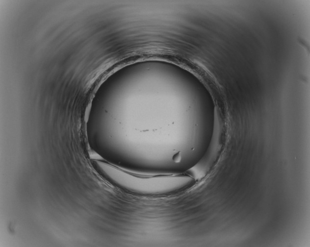 X0000099961065200806061600