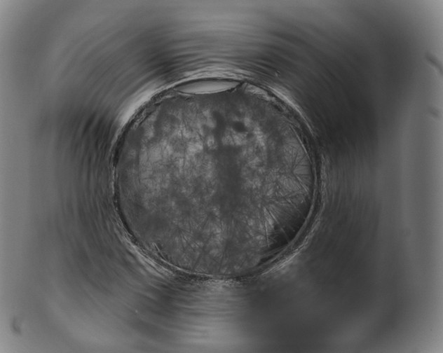 X0000099961067200806061600