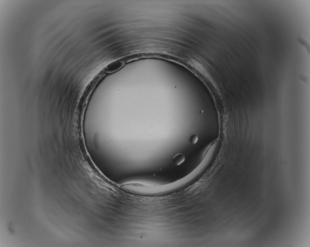 X0000099961068200806061600