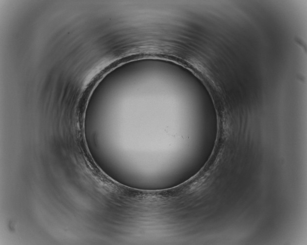 X0000099961070200806061600