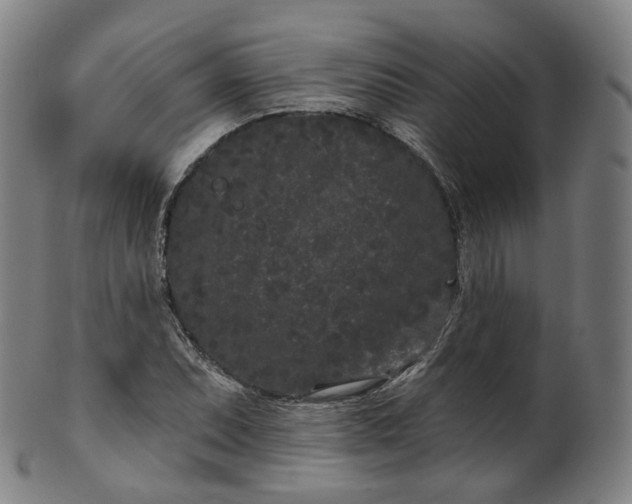 X0000099961071200806061600