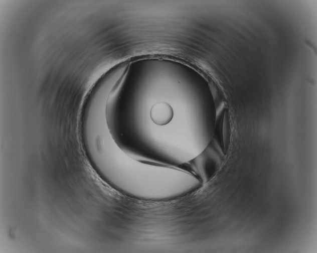 X0000099961072200806061600