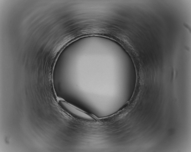 X0000099961073200806061600
