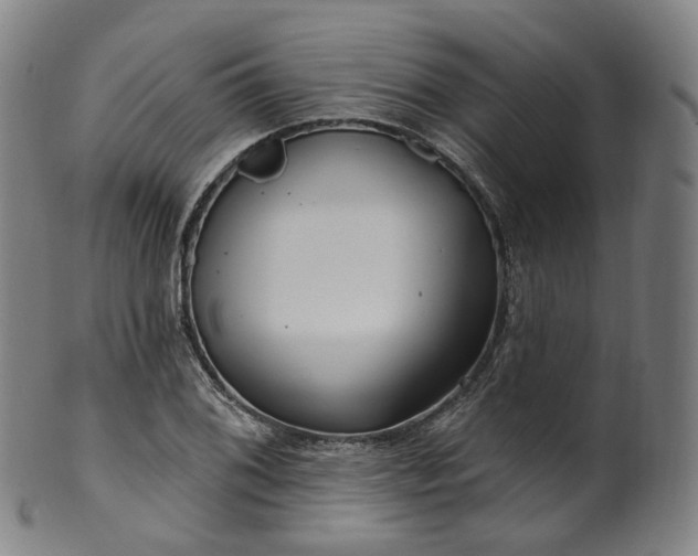 X0000099961076200806061600