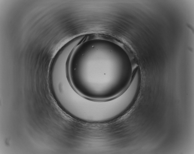 X0000099961077200806061600