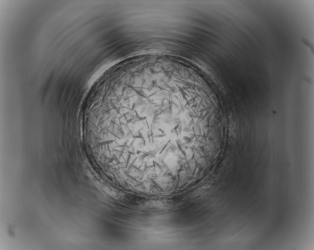 X0000099961078200806061600