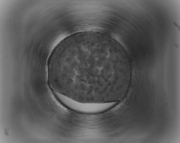 X0000099961079200806061600