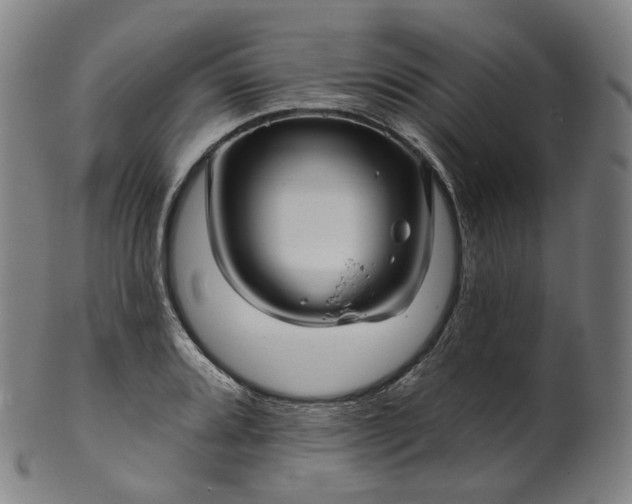 X0000099961080200806061600