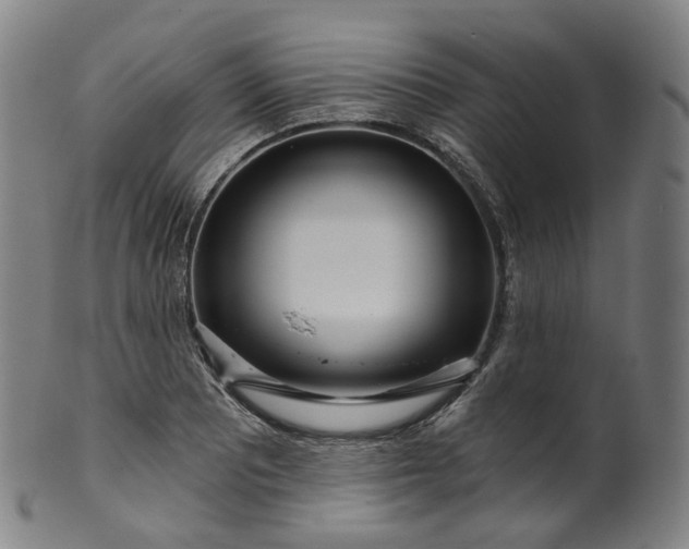 X0000099961081200806061600