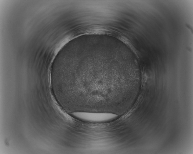 X0000099961083200806061600
