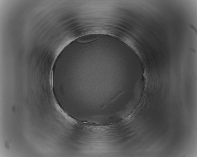 X0000099961084200806061600